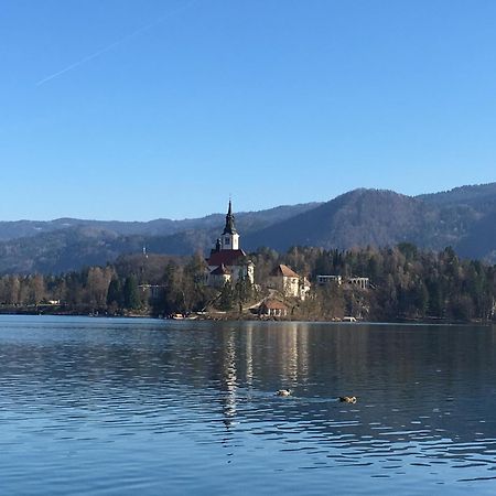 Vila Cerne Bled Luaran gambar